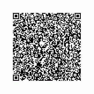 vCard 73656532919