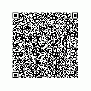 vCard 73656532941