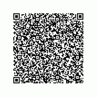 vCard 73656533002