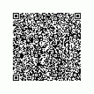 vCard 73656533004