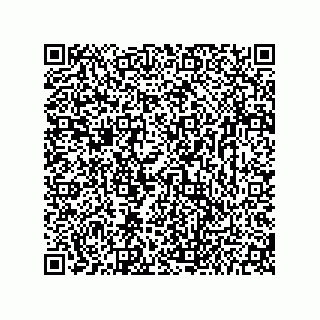vCard 73656533005