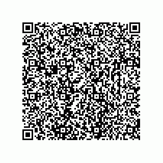 vCard 73656533008