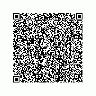 vCard 73656533009