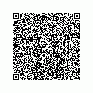vCard 73656533019
