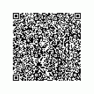 vCard 73656533029