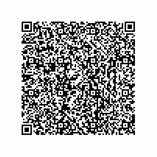 vCard 73656533035
