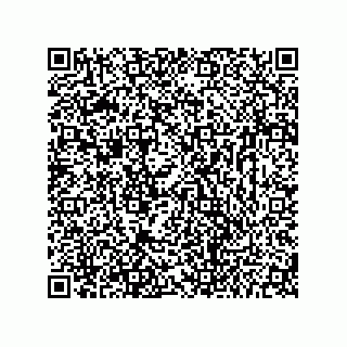 vCard 73656533040
