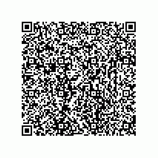 vCard 73656533041