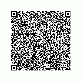 vCard 73656533043