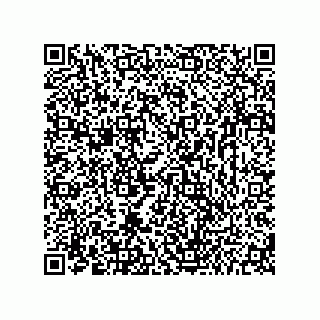 vCard 73656533049