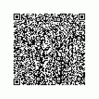 vCard 73656533065