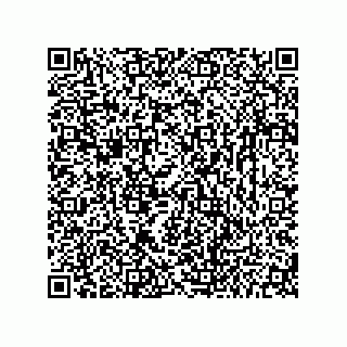 vCard 73656533111