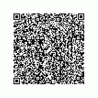 vCard 73656533119