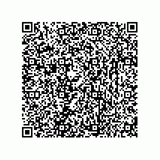 vCard 73656533131