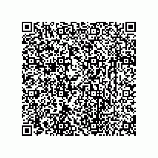 vCard 73656533132