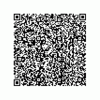 vCard 73656533133