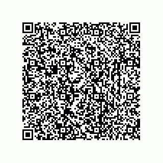 vCard 73656533134