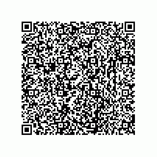 vCard 73656533153