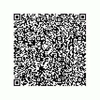 vCard 73656533173