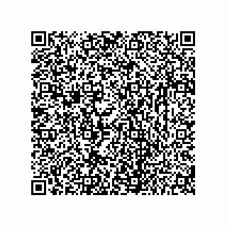 vCard 73656533178