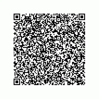 vCard 73656533194