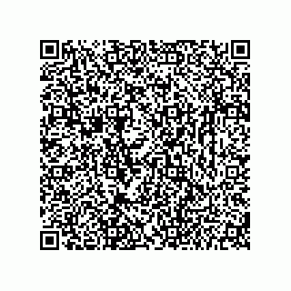 vCard 73656533196