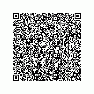 vCard 73656533199