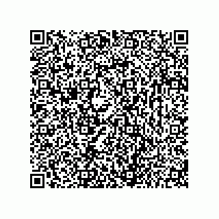 vCard 73656533211