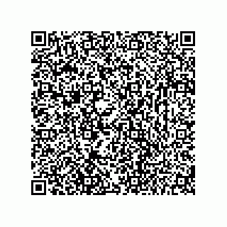 vCard 73656533241