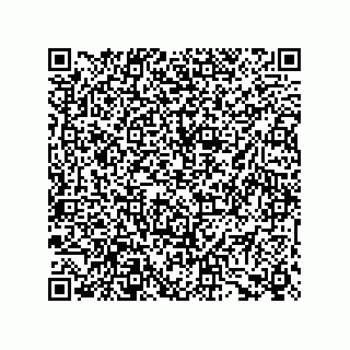 vCard 73656991334