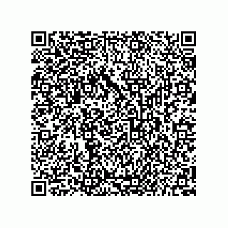 vCard 73656991533
