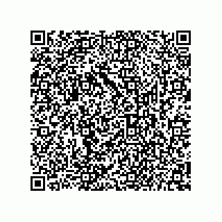 vCard 73656996272