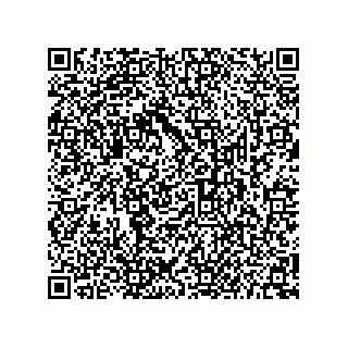 vCard 73656996275