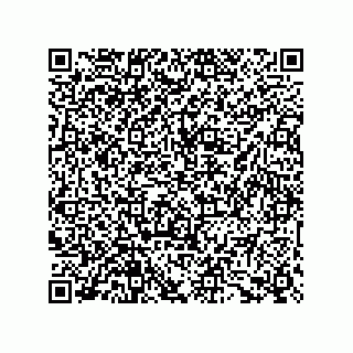 vCard 73656996279