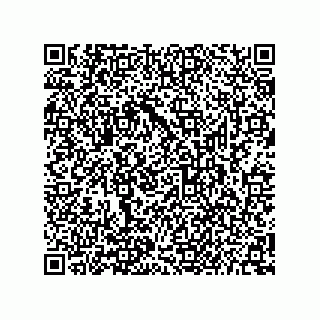 vCard 73656996413
