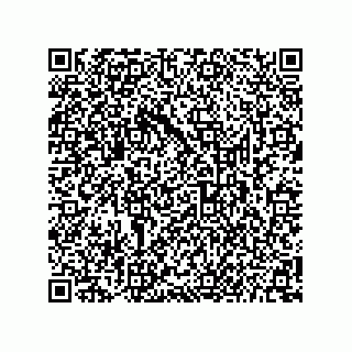 vCard 73656996529