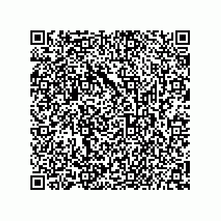 vCard 73656996533