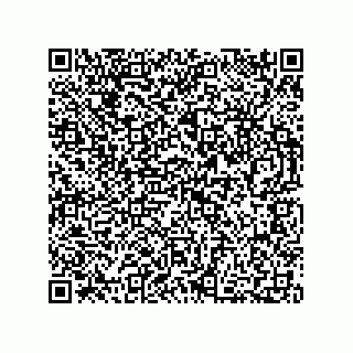 vCard 73812220288
