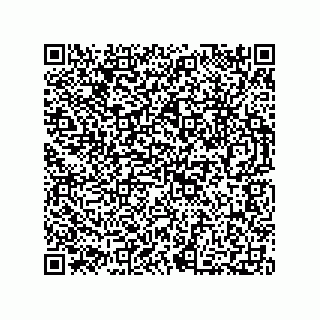 vCard 73812220338