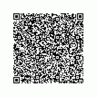 vCard 73812220339