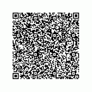vCard 73812432529