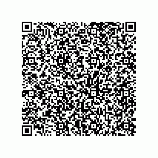 vCard 73812432541