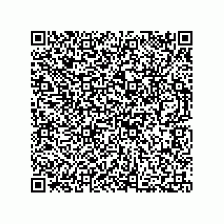 vCard 73812432729