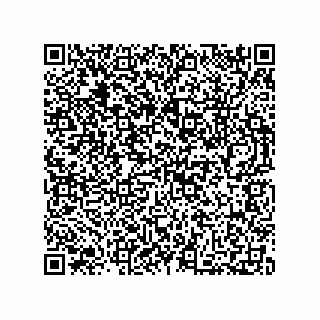 vCard 73812925334