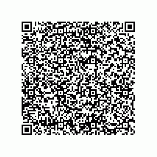 vCard 73812970221
