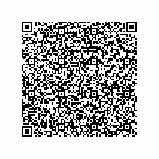 vCard 73812970304