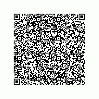 vCard 73812970313