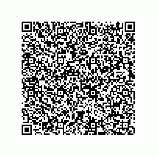 vCard 73812970319