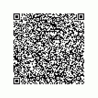 vCard 73812970321