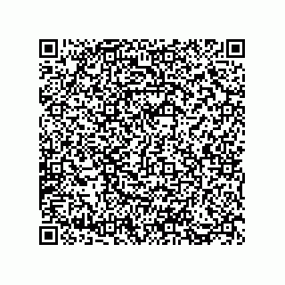 vCard 73812970333